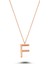 Harfli Gümüş Kolye Rose - Z Harfi - Standart - ALV006-2065 1