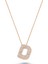 Harfli Kolyeler Rose Gümüş Taşlı - Ü Harfi - Standart - ADA001-1735 1