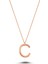 Harfli Gümüş Kolye Rose - Z Harfi - Standart - ALV006-2065 1
