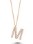 Harfli Gümüş Kolye Taşlı Roze - I Harfi - Standart - ALV007-2151 1