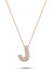 Harfli Kolyeler Rose Gümüş Taşlı - Ü Harfi - Standart - ADA001-1735 1