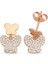 Taşlı Ok Halka Küpe - Rose - Standart - KPCZ20938-798 1