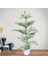 Arokorya Yilbaşı Çamı 70CM 3