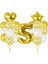 5 Yaş Gold balon Seti 1