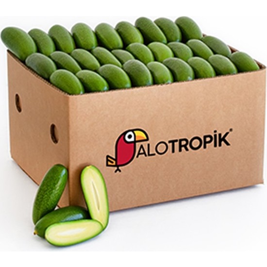 Alotropik Bebek Avokado 1 kg Fiyatı Taksit Seçenekleri