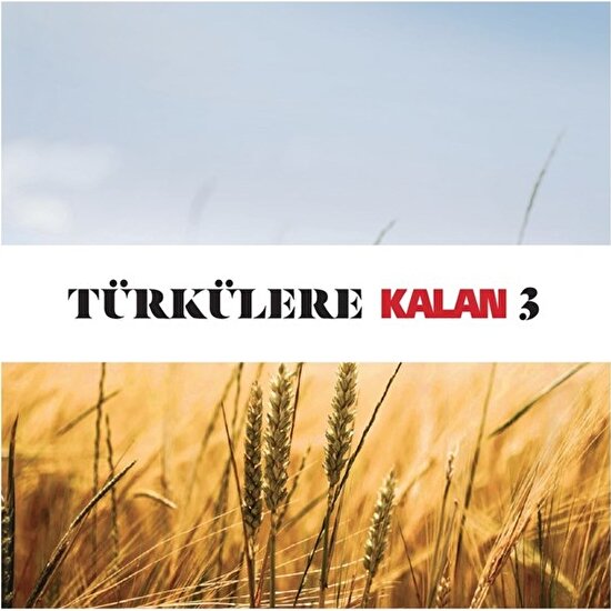 Türkülere Kalan 3 - Çeşitli Sanatçılar - 2 CD