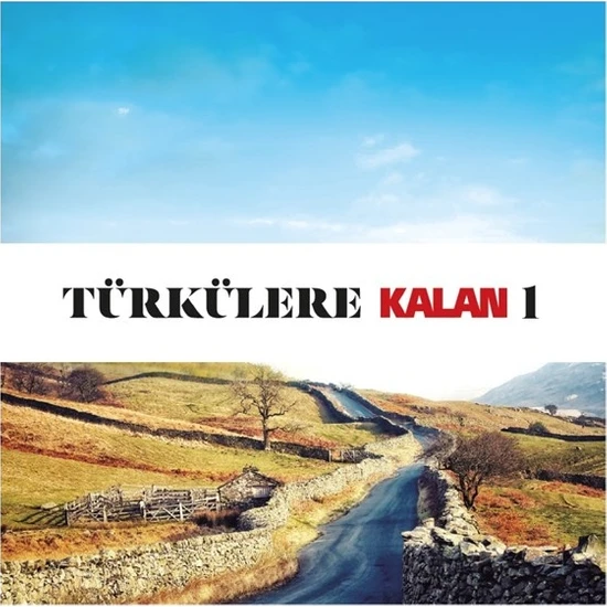 Türkülere Kalan 1 - Çeşitli Sanatçılar - 2 CD