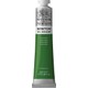 Terre Verte