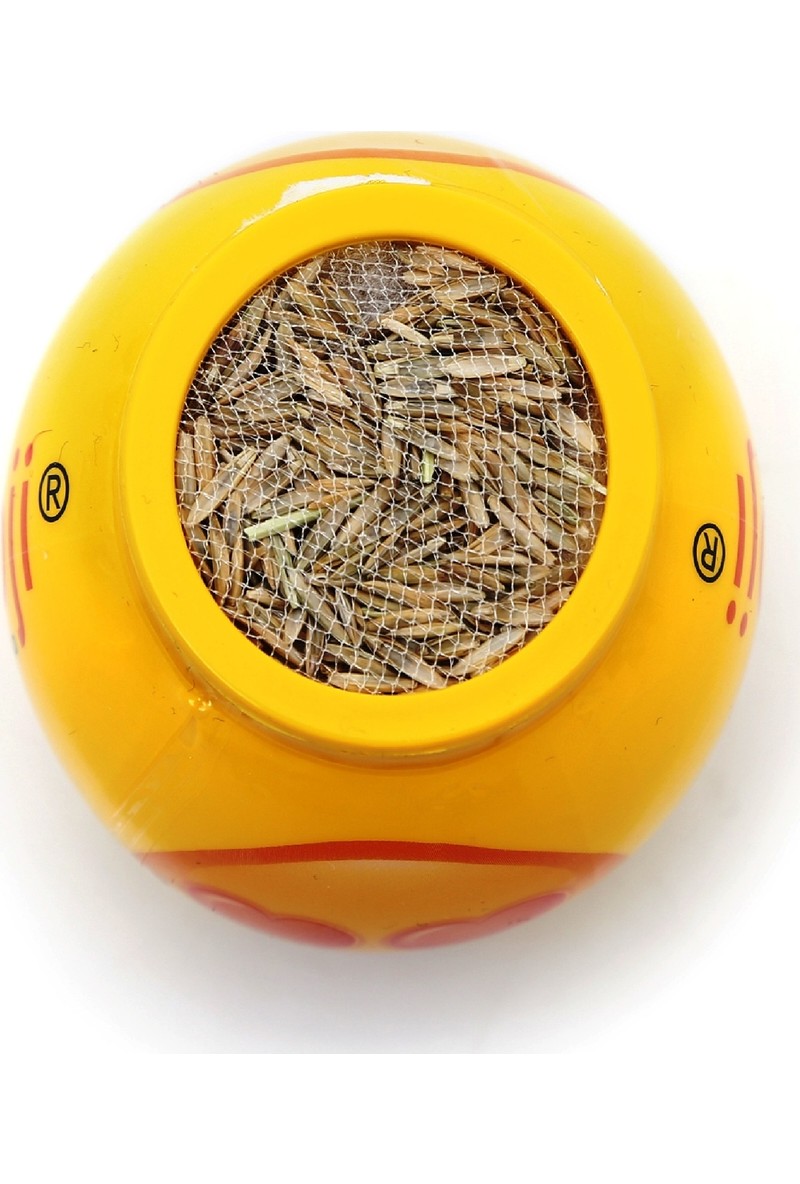 İç Mekan Bitki Çeşitleri ve Fiyatları İndirimli Salon Çiçekleri Sayfa 2