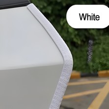 Fruens Renault Megane 4 Oto Araç Kapı Koruma Fitili 5metre Parlak Beyaz Renk
