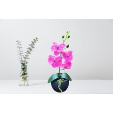 Cennet Home Islak Fuşya Mini Orkide Hediyelik Yapay Çiçek