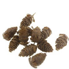 Mutlu Adım 10 Adet 5cm Plastik Kozalak