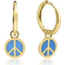 Kairos Jewelry 14 Ayar Altın Mavi Mineli Barış Küpe
KRS-K86-14GE