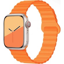 Nezih Case Apple Watch Seri 2/3/4/5/6/7/8/9/se 38MM 40MM 41MM Magnetic Çift Renk Silikon Kordon