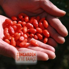 Zengarden Goji Berry Tohumu Lycium Barbarum Seeds