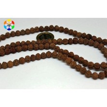 Nelleovana Rudrashka Tohum Dizi 8mm (Mala Yapımı Için) 108 Lik Rudraksha