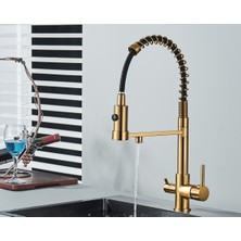 OEM Mutfak Evye Bataryası Dual Flow Su Arıtma Çıkışlı Spiralli Fiskiyeli Mat Gold