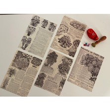 Sf Scrapbook Vintage, Bitki, Çiçek Kağıt Journal Set, Scrapbook, Scrapbooking, Galeri Duvarı, Sanatsal Baskı