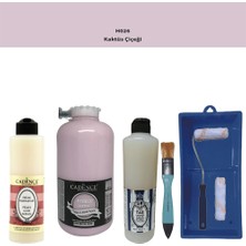 Cadence Banyo Mutfak -  Multi H - 026 Kaktus Çiçeği 2000 ml Par Yüzey Ast 500 ml Taş Vernik Mat 500 ml  Satenruloset
