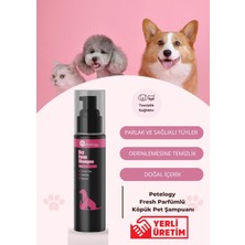 Petelogy Fresh Parfümlü Köpük Pet Şampuanı 200 ml