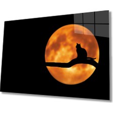 MiraLive    Dolunayda Kedi  Cam Tablo