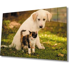  Kedi Köpek Cam Tablo
