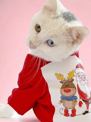 Kemique Santa And Friend Rudolph Kedi Tişörtü Yılbaşı Noel Christmas Kedi Elbisesi