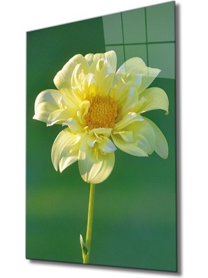 MiraLive  Sarı Çiçek Cam Tablo Yellow