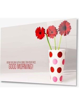 MiraLive   Eşya Cam Tablo