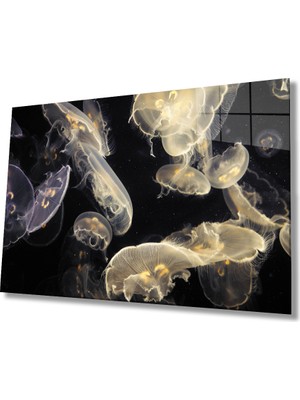 MiraLive  Denizanası Cam Tablo