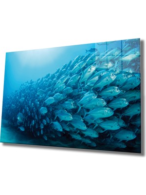 MiraLive  Balıklar Cam Tablo Fishes