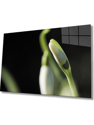 MiraLive  Yeşil Beyaz  Çiçek Cam Tablo   Green