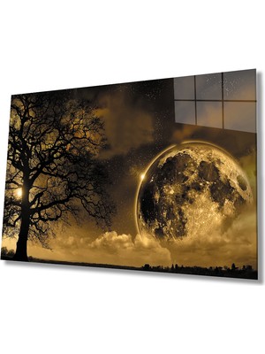MiraLive  Dünya Ay Ağaç Gece Manzaralı