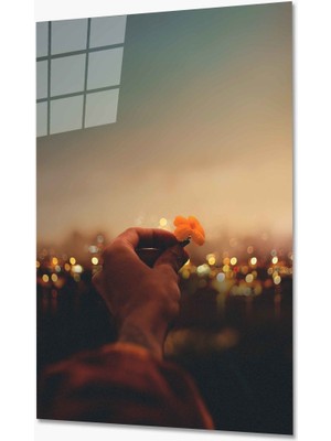 MiraLive   Mum Kandil Cam Tablo