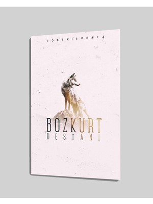 MiraLive   Bozkurt Cam Tablo