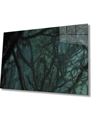 MiraLive  Yeşil Orman  Green Forest