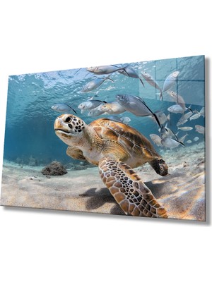 MiraLive  Su Kaplumbağası Balıklar Sualtı Cam Tablo