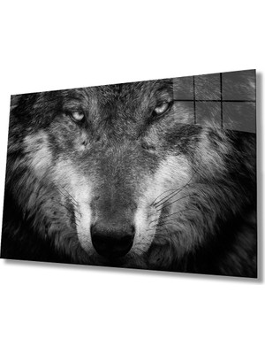 MiraLive  Siyah Kurt Hayvan Cam Tablo