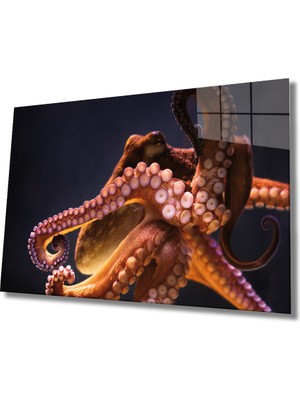 MiraLive  Ahtapot Sualtı Canlıları Cam Tablo 	octopus