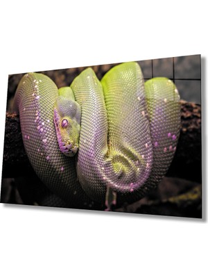 MiraLive  Sarı Yeşil Yılan Hayvan Cam Tablo
