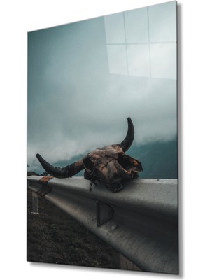 MiraLive   Boynuz Cam Tablo