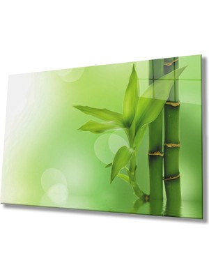 MiraLive  Yeşil Bitki Cam Tablo   Green Plant