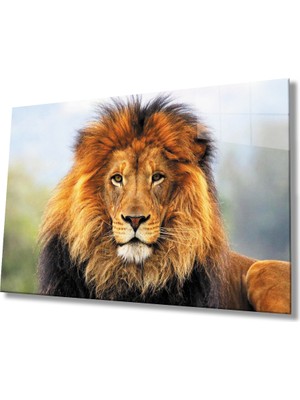 MiraLive  Aslan Cam Tablo