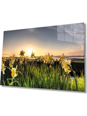 MiraLive  Gün Batımında Sarı Çiçekler Cam Tablo