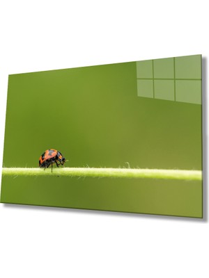 MiraLive  Yeşil Yaprak Uğur Böceği Cam Tablo