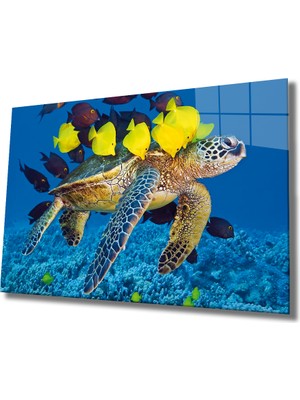 MiraLive  Deniz Kaplumbağası ve Balıklar Cam Tablo