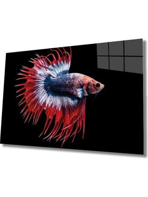 MiraLive  Balık Cam Tablo Fish