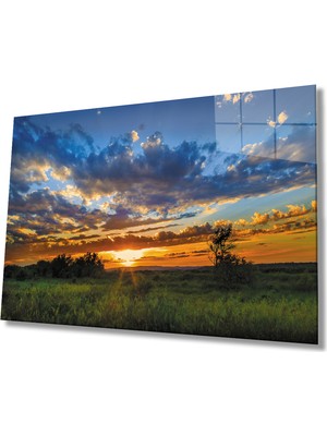 MiraLive  Gün Batımı Manzarasında Ağaç Yeşil Cam Tablo