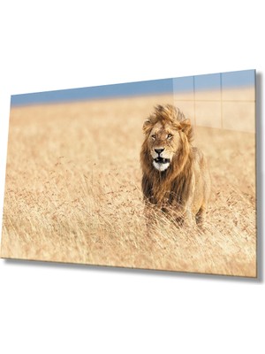  Aslan Cam Tablo