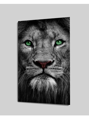 MiraLive   Aslan Cam Tablo